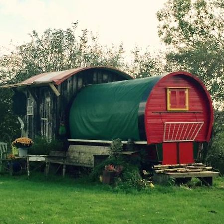 De Oude Nadorst Bed & Breakfast Groningen Ngoại thất bức ảnh