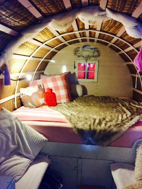 De Oude Nadorst Bed & Breakfast Groningen Ngoại thất bức ảnh